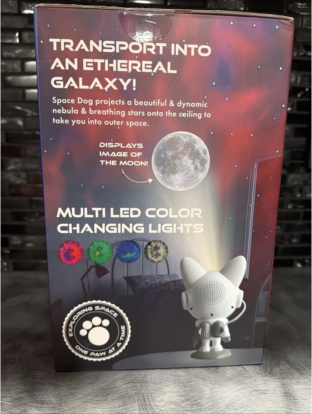 N/A space dog